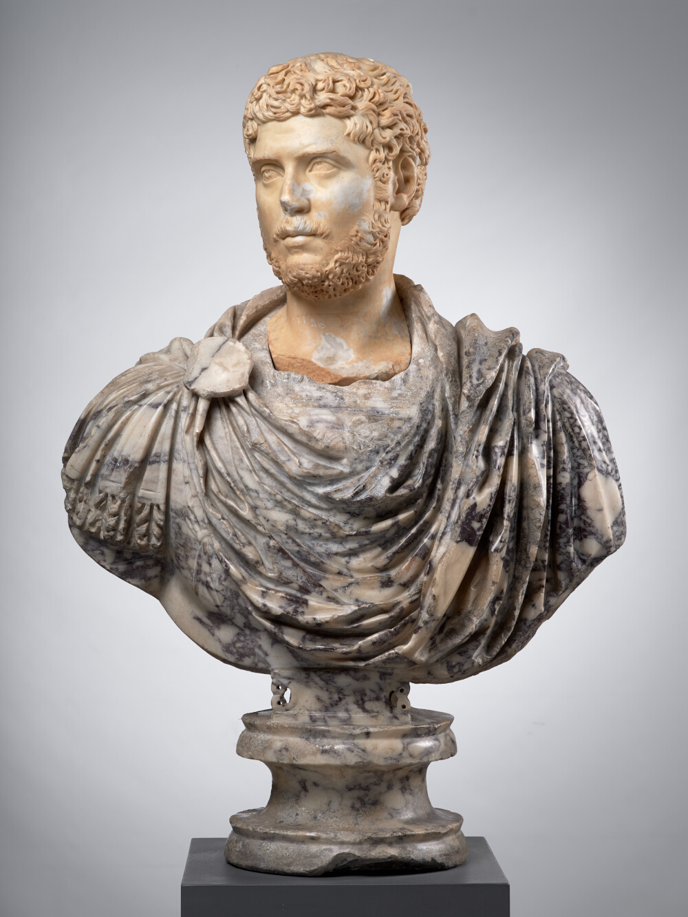 Tête d’homme, aujourd’hui montée sur un buste en pavonazzetto