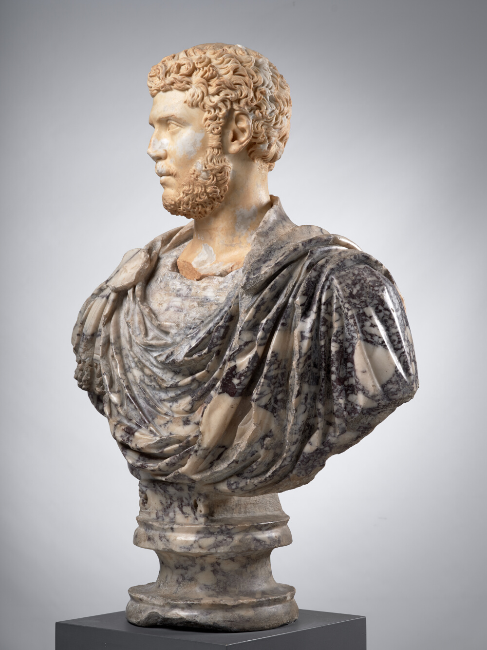 Tête d’homme, aujourd’hui montée sur un buste en pavonazzetto