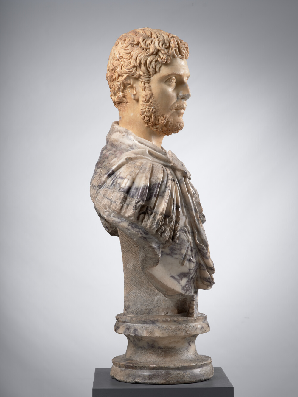 Tête d’homme, aujourd’hui montée sur un buste en pavonazzetto