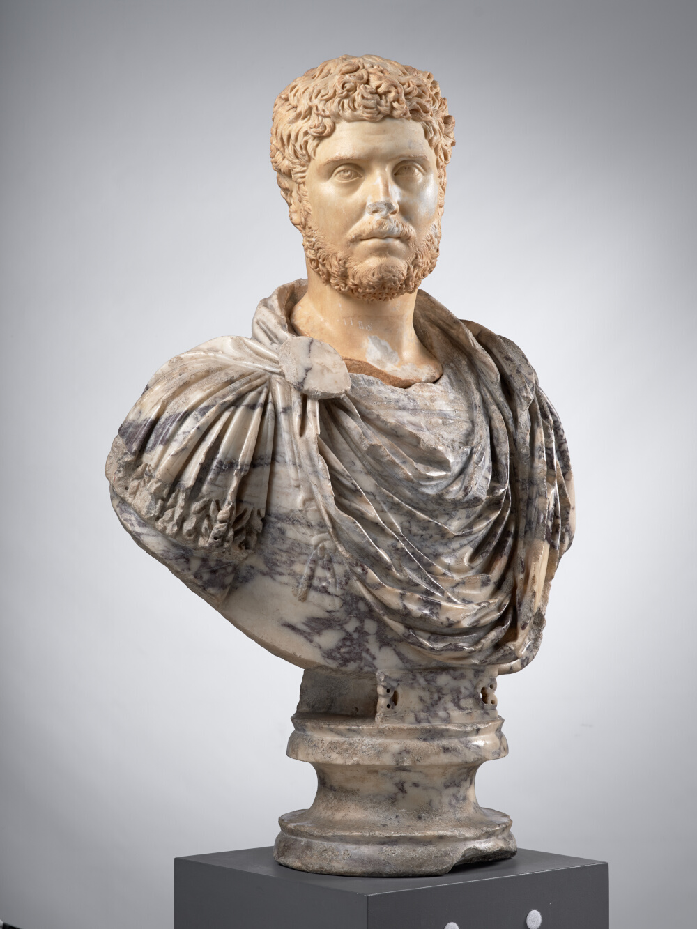 Tête d’homme, aujourd’hui montée sur un buste en pavonazzetto