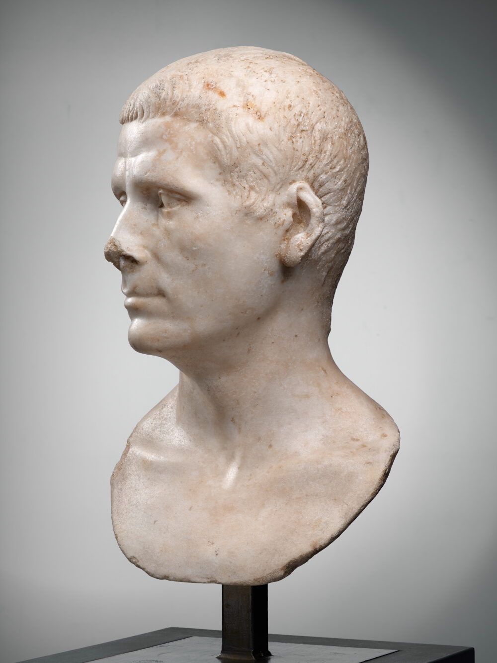 Buste d’un inconnu