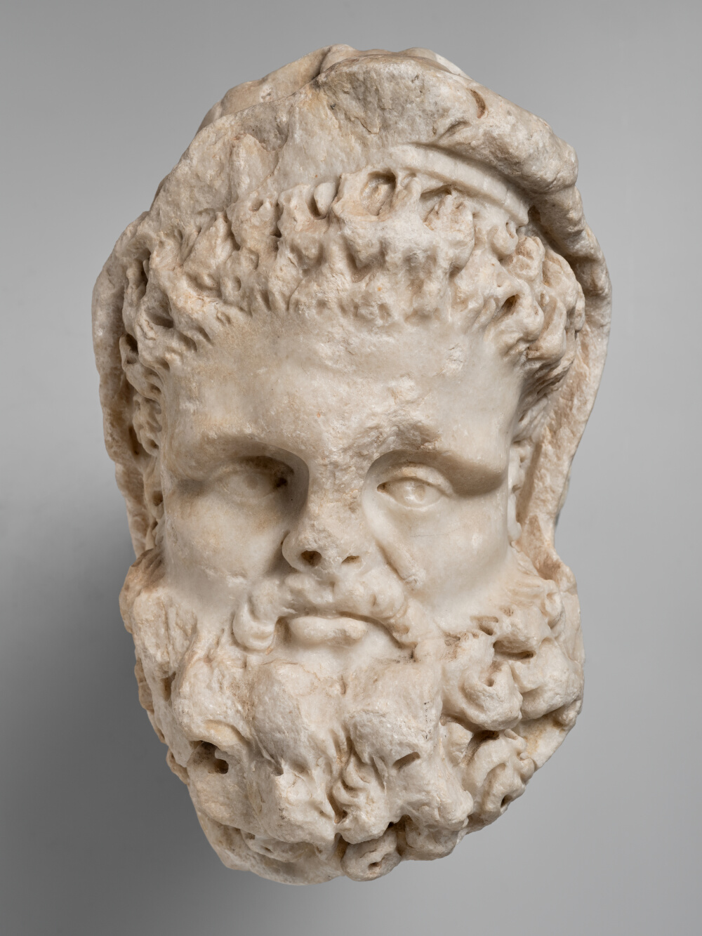 Tête d’Hercule barbu