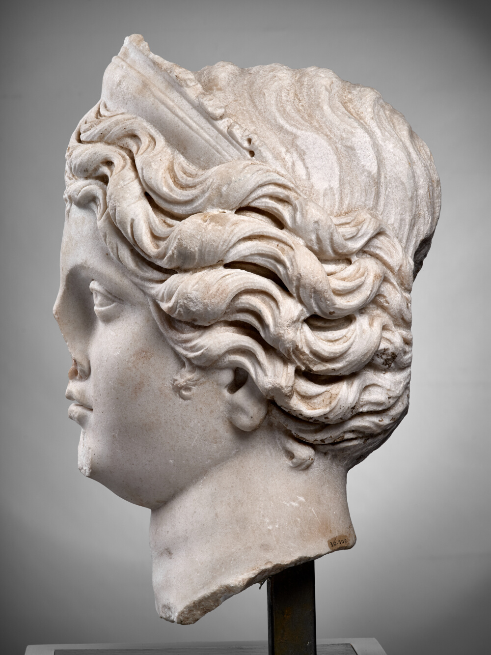 Vénus (?)