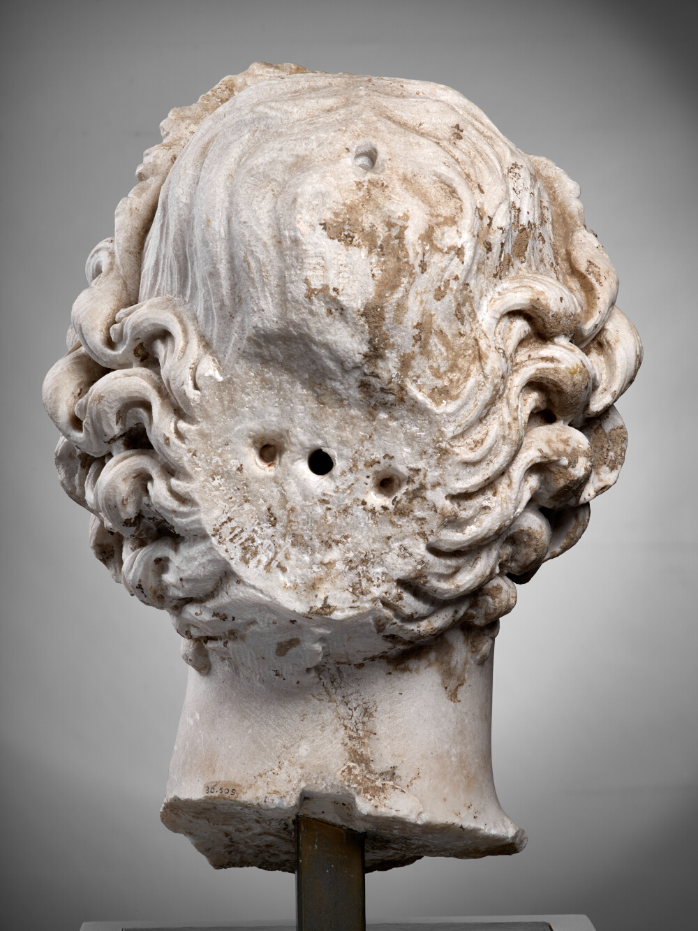 Vénus (?)