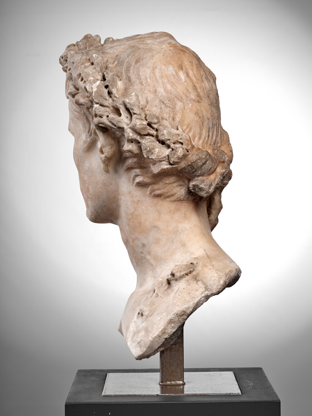 Buste d’Auguste couronné de chêne