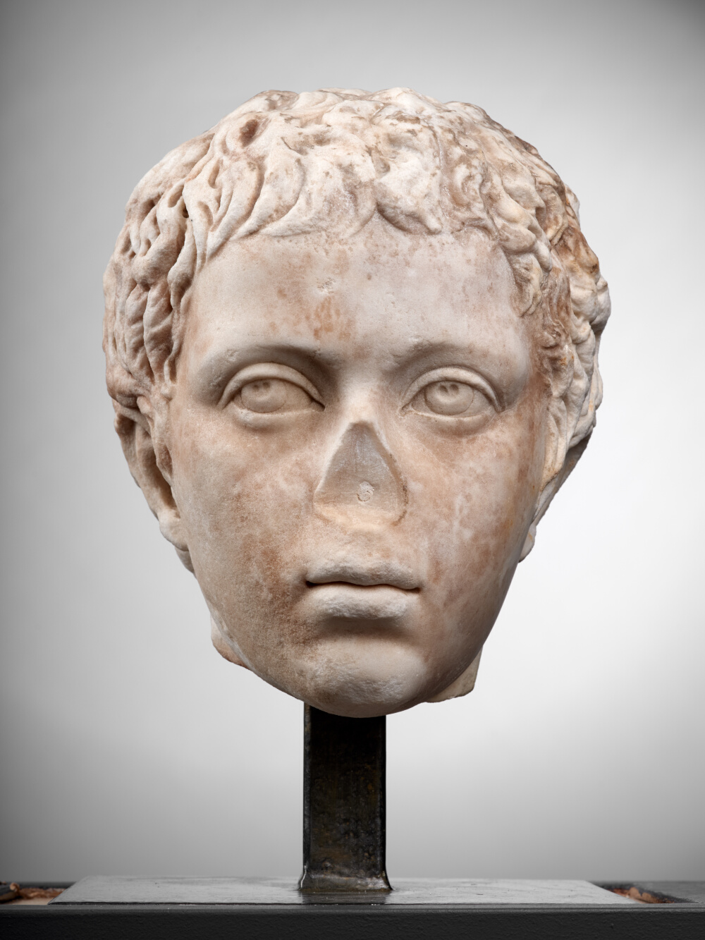 Tête de jeune garçon (C. Fulvius Plautus Hortensianus ?)
