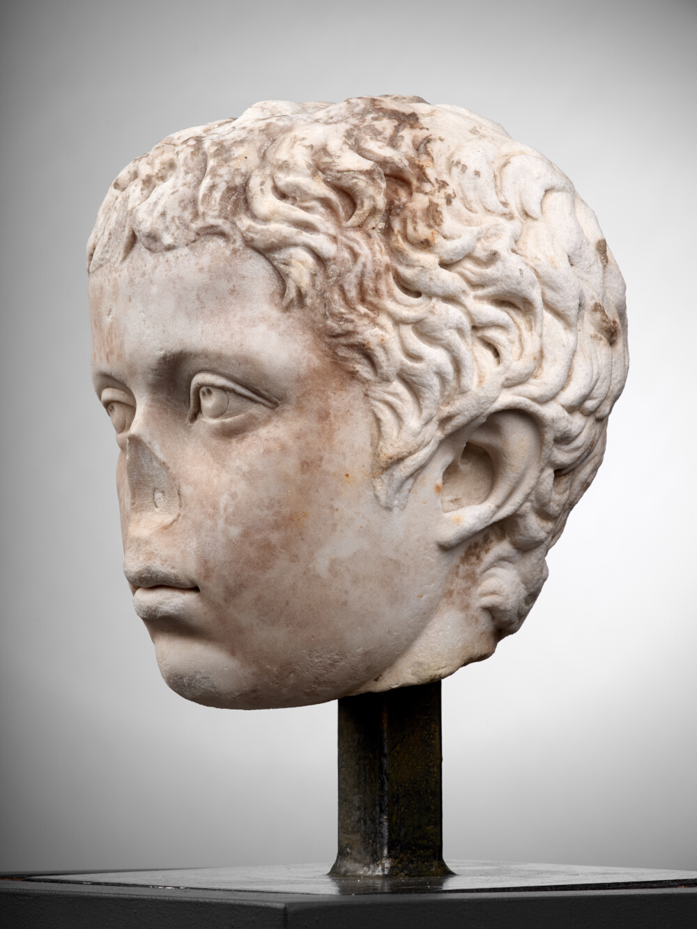 Tête de jeune garçon (C. Fulvius Plautus Hortensianus ?)