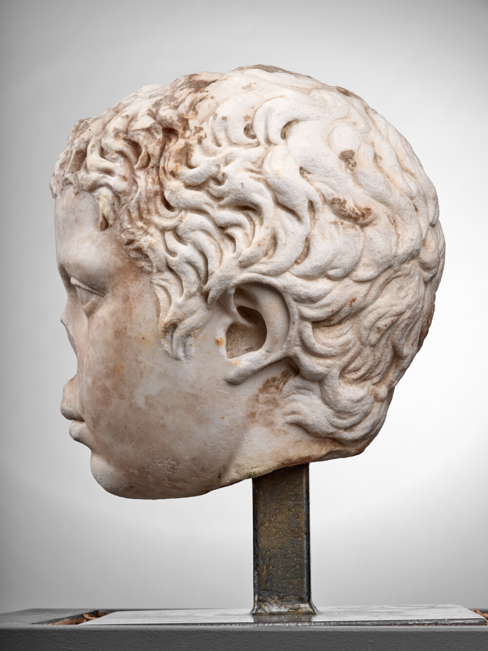 Tête de jeune garçon (C. Fulvius Plautus Hortensianus ?)