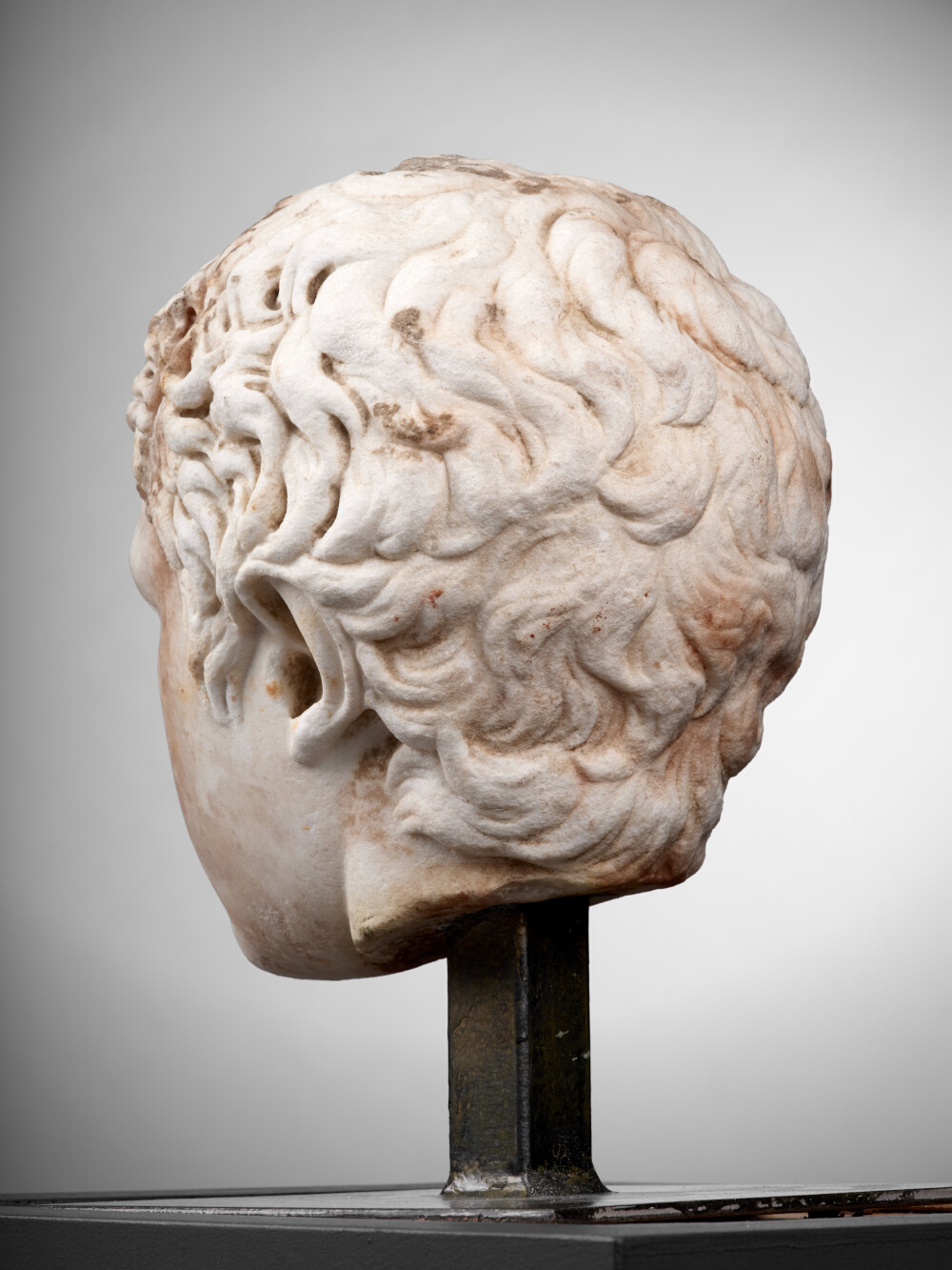 Tête de jeune garçon (C. Fulvius Plautus Hortensianus ?)
