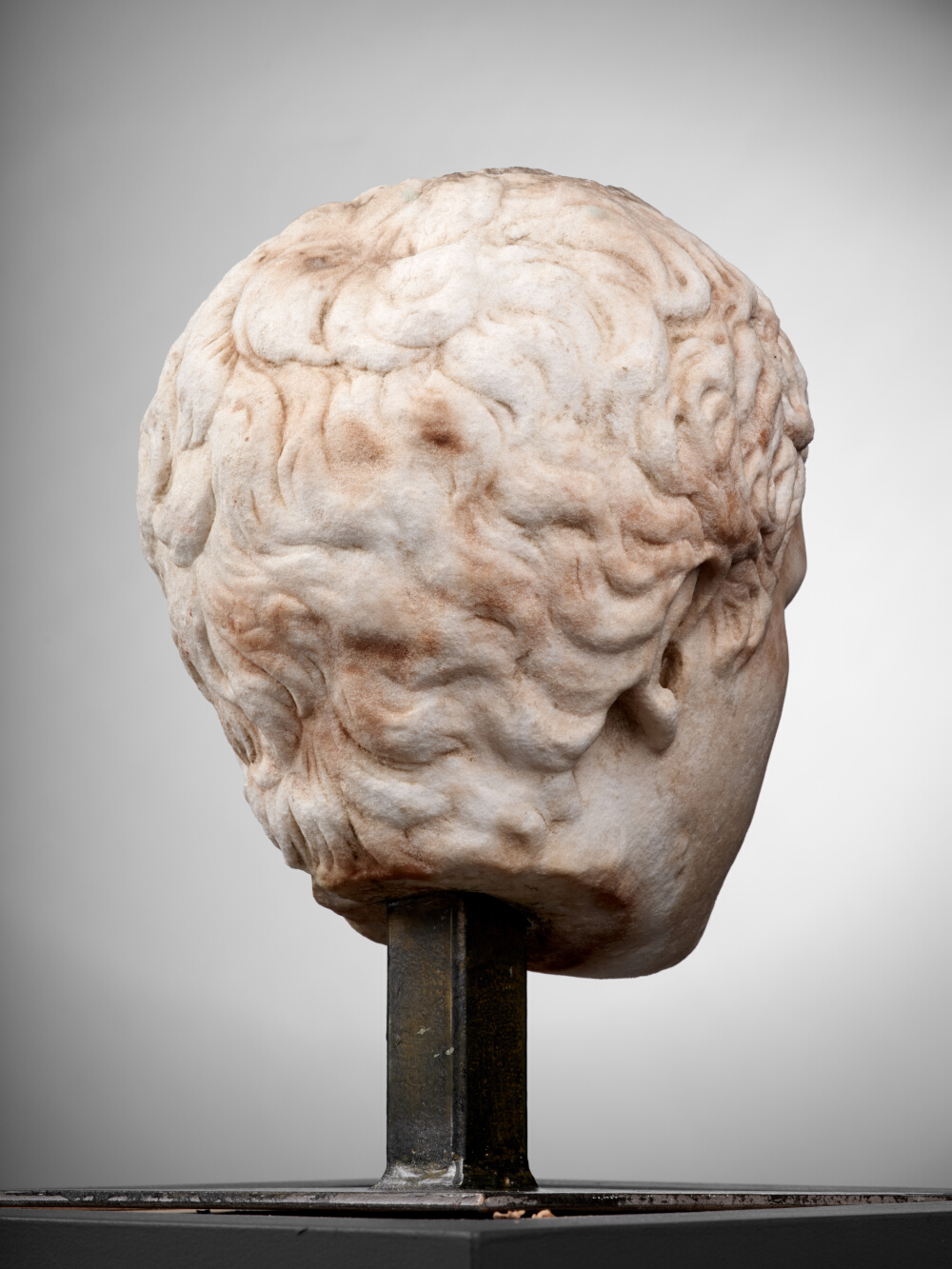 Tête de jeune garçon (C. Fulvius Plautus Hortensianus ?)