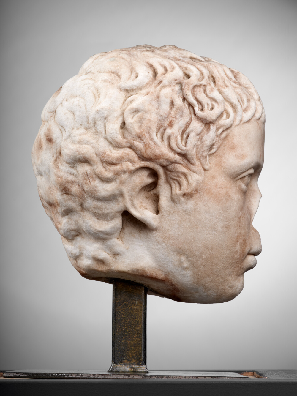 Tête de jeune garçon (C. Fulvius Plautus Hortensianus ?)