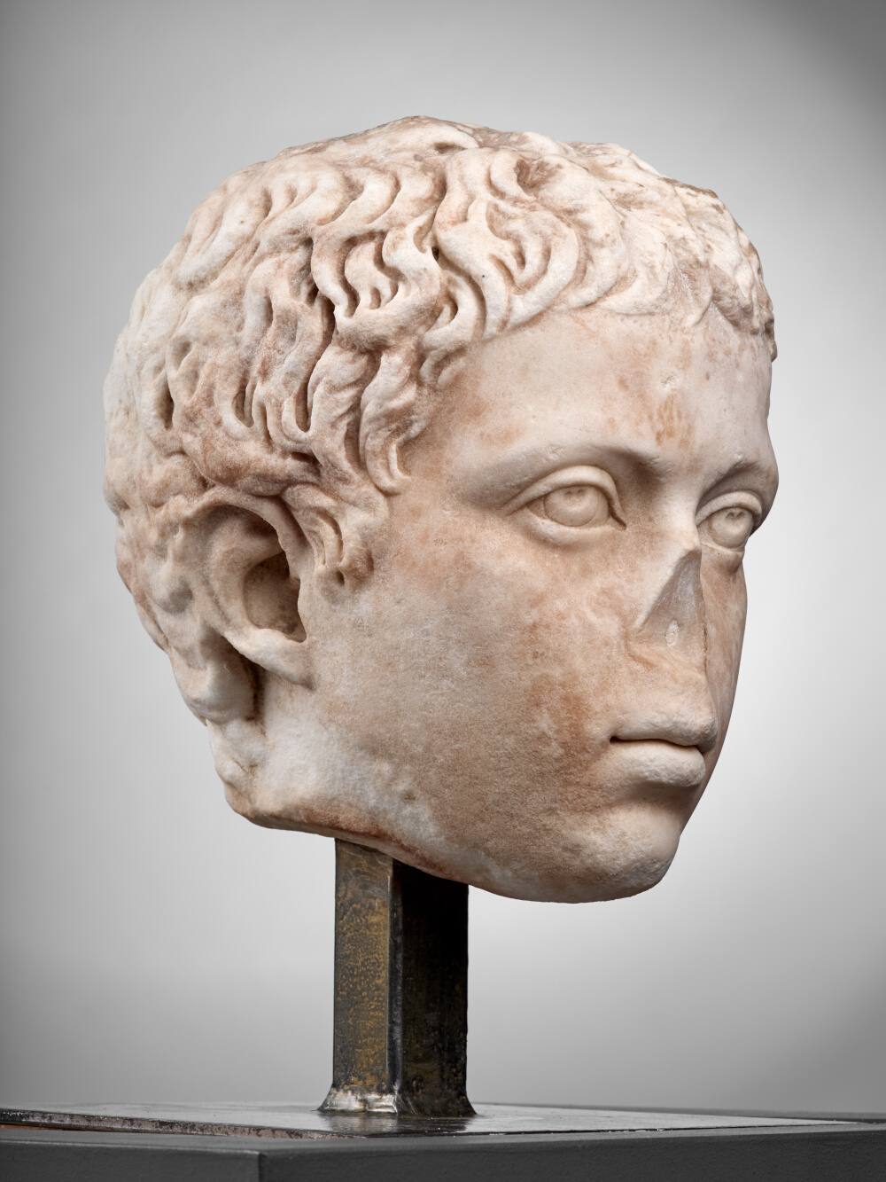 Tête de jeune garçon (C. Fulvius Plautus Hortensianus ?)