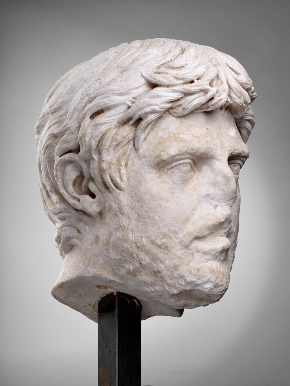 Tête d’homme